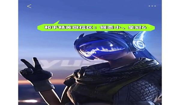 和平精英怎么免费获得一些标志（和平精英主页怎么免费获得标志）