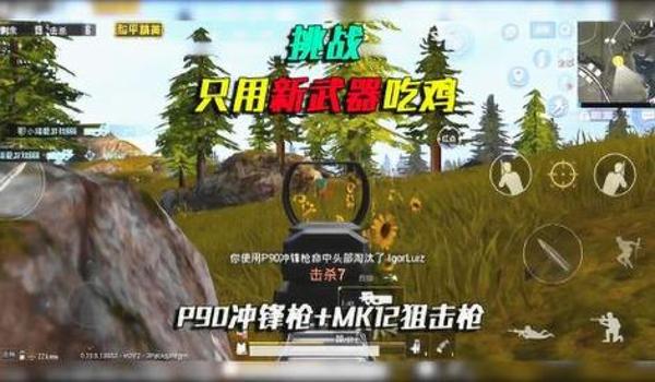 和平精英怎么可以免费获得p90皮肤（和平精英里面怎么免费获得p90皮肤）